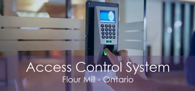 Access Control System Flour Mill - Ontario