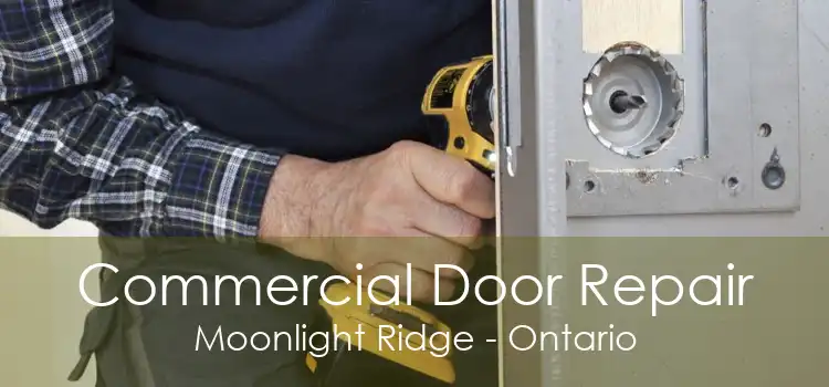 Commercial Door Repair Moonlight Ridge - Ontario