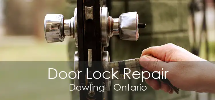 Door Lock Repair Dowling - Ontario