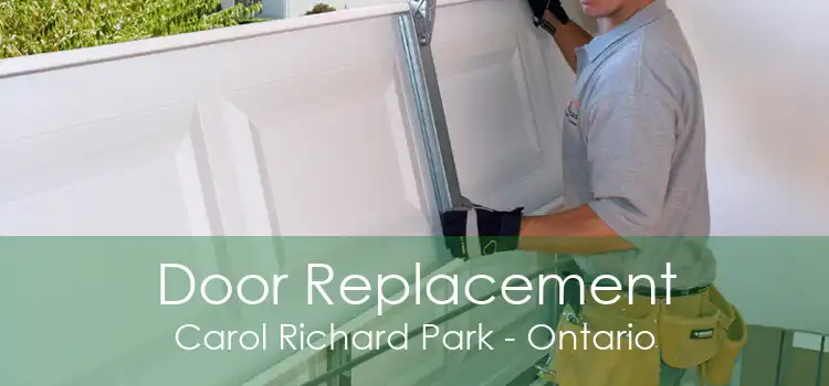 Door Replacement Carol Richard Park - Ontario