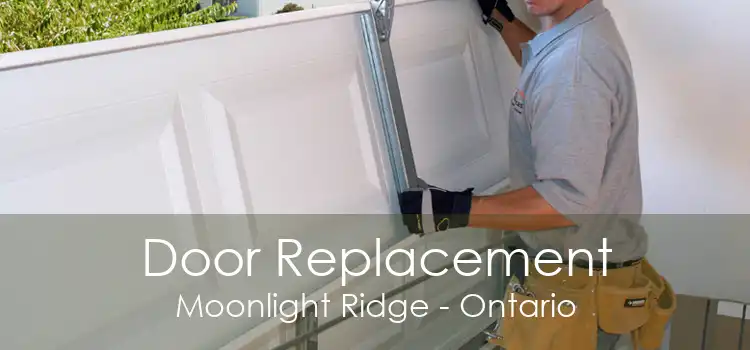 Door Replacement Moonlight Ridge - Ontario