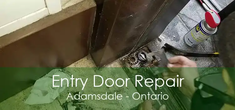 Entry Door Repair Adamsdale - Ontario