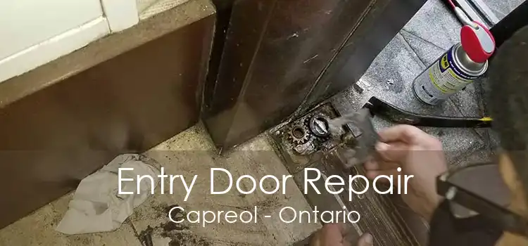 Entry Door Repair Capreol - Ontario
