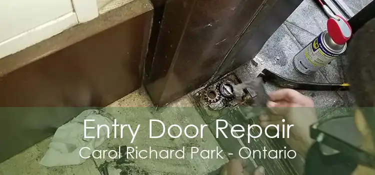 Entry Door Repair Carol Richard Park - Ontario