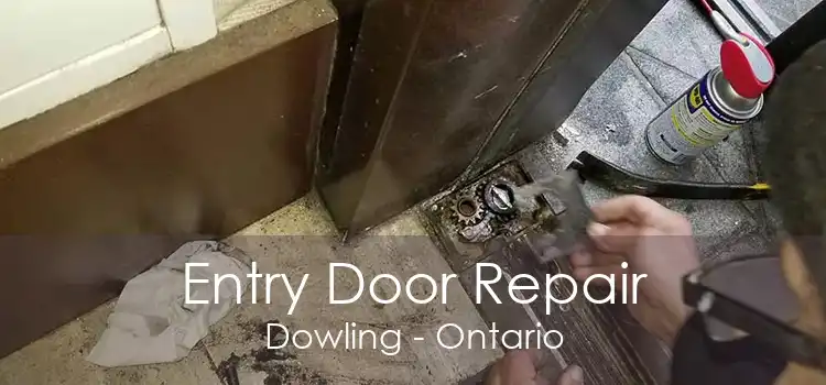 Entry Door Repair Dowling - Ontario