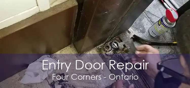 Entry Door Repair Four Corners - Ontario