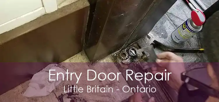 Entry Door Repair Little Britain - Ontario