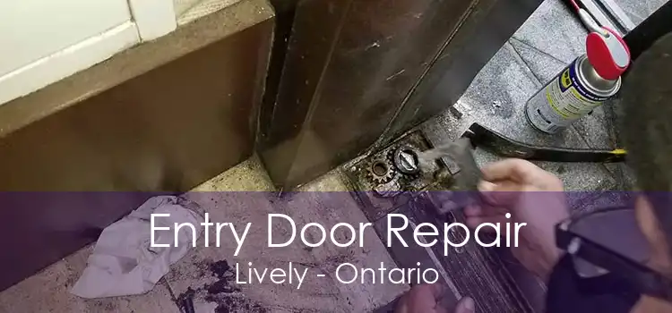 Entry Door Repair Lively - Ontario