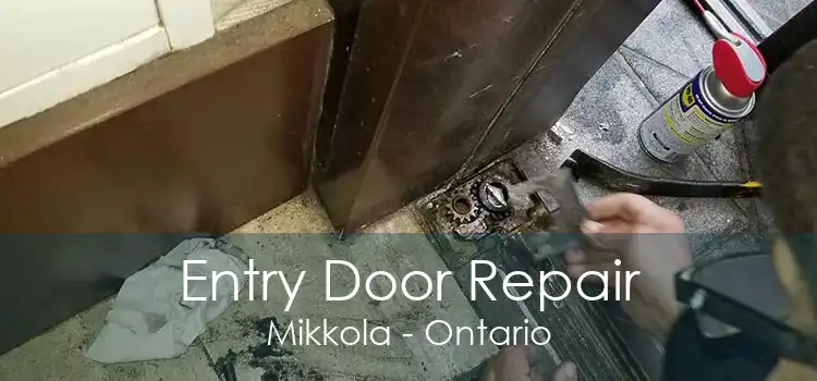 Entry Door Repair Mikkola - Ontario