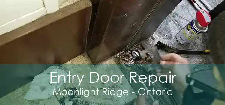 Entry Door Repair Moonlight Ridge - Ontario