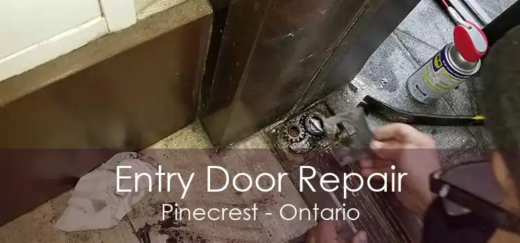 Entry Door Repair Pinecrest - Ontario