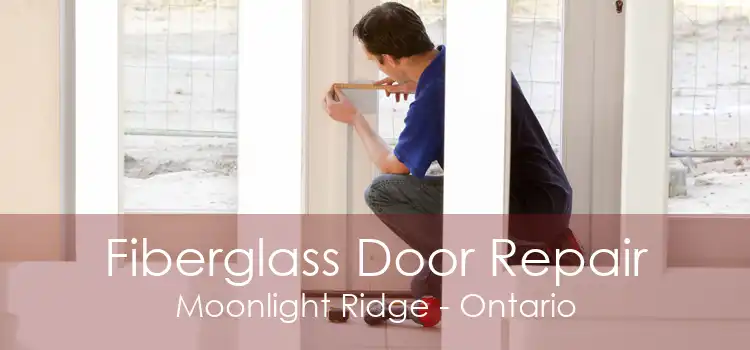 Fiberglass Door Repair Moonlight Ridge - Ontario