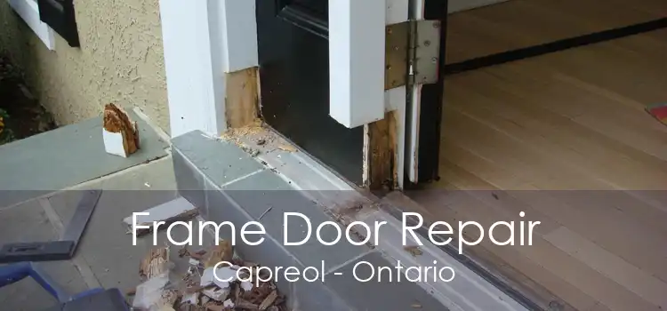 Frame Door Repair Capreol - Ontario
