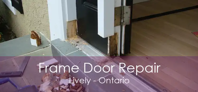 Frame Door Repair Lively - Ontario