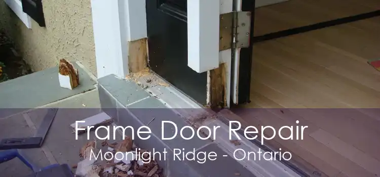 Frame Door Repair Moonlight Ridge - Ontario