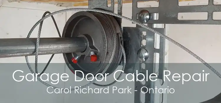 Garage Door Cable Repair Carol Richard Park - Ontario
