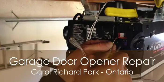 Garage Door Opener Repair Carol Richard Park - Ontario