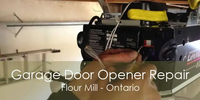 Garage Door Opener Repair Flour Mill - Ontario