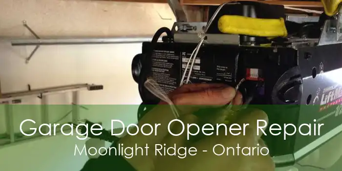 Garage Door Opener Repair Moonlight Ridge - Ontario