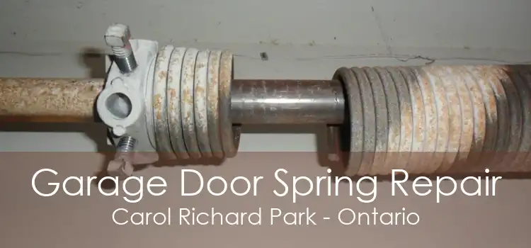 Garage Door Spring Repair Carol Richard Park - Ontario