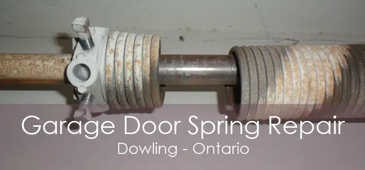 Garage Door Spring Repair Dowling - Ontario