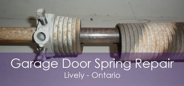 Garage Door Spring Repair Lively - Ontario