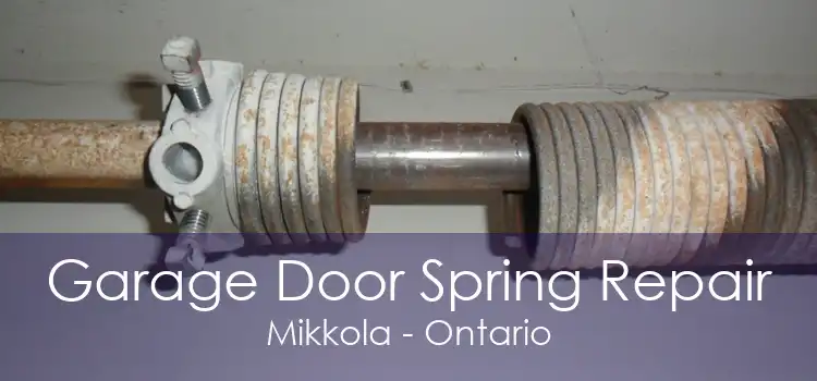 Garage Door Spring Repair Mikkola - Ontario