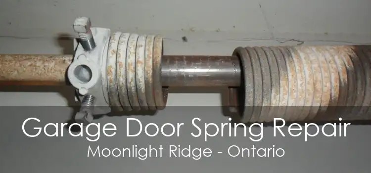 Garage Door Spring Repair Moonlight Ridge - Ontario