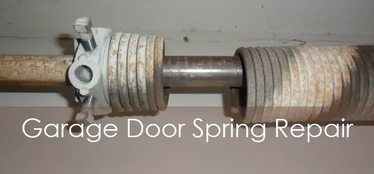 Garage Door Spring Repair 