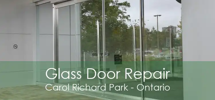 Glass Door Repair Carol Richard Park - Ontario
