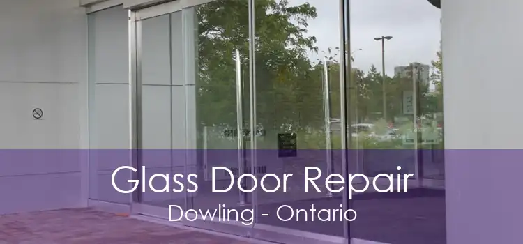 Glass Door Repair Dowling - Ontario