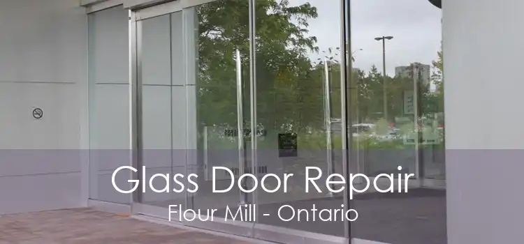 Glass Door Repair Flour Mill - Ontario