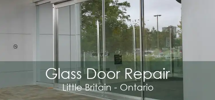 Glass Door Repair Little Britain - Ontario