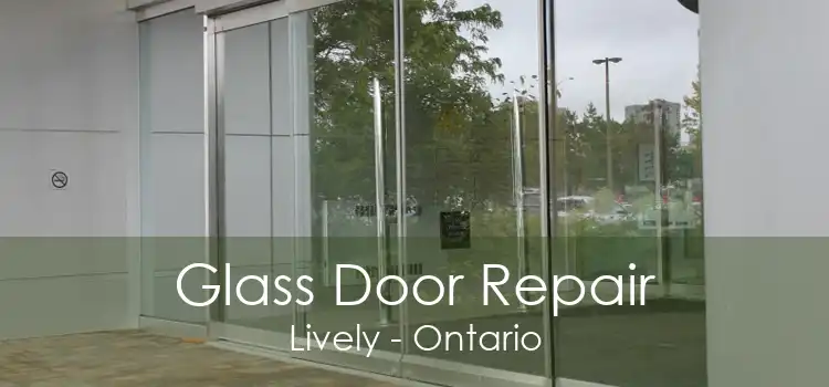 Glass Door Repair Lively - Ontario