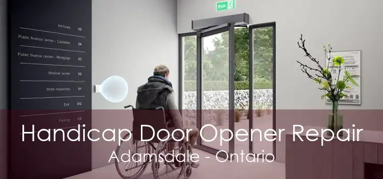 Handicap Door Opener Repair Adamsdale - Ontario
