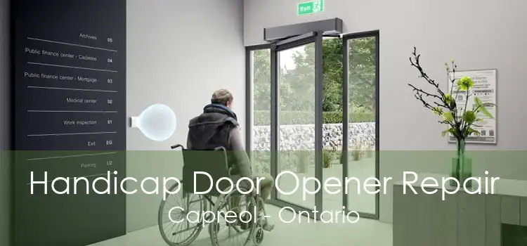 Handicap Door Opener Repair Capreol - Ontario