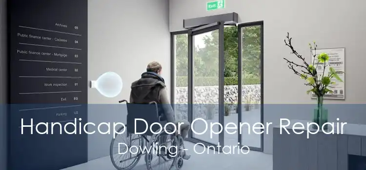 Handicap Door Opener Repair Dowling - Ontario