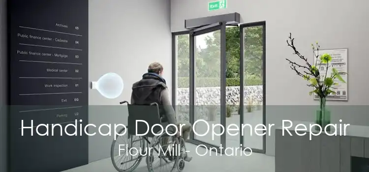 Handicap Door Opener Repair Flour Mill - Ontario