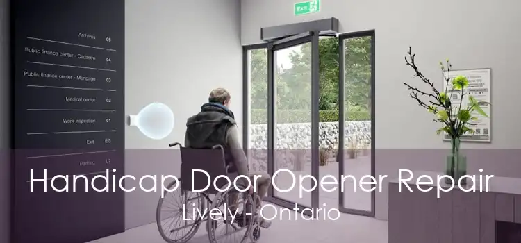 Handicap Door Opener Repair Lively - Ontario
