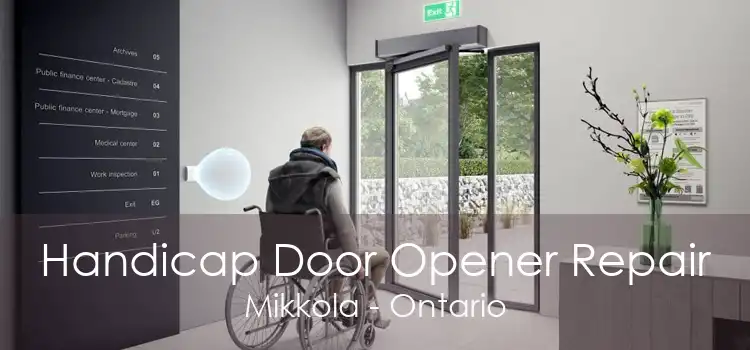 Handicap Door Opener Repair Mikkola - Ontario