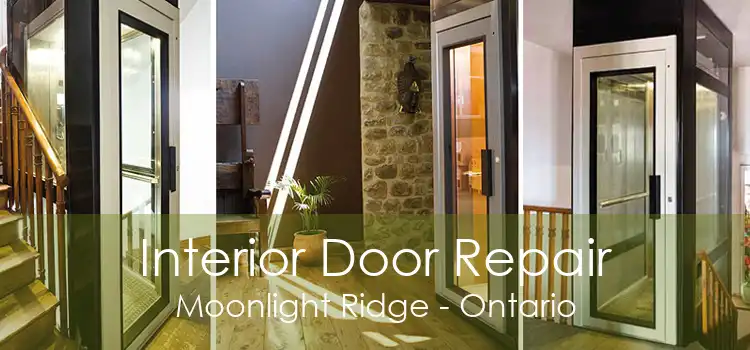 Interior Door Repair Moonlight Ridge - Ontario