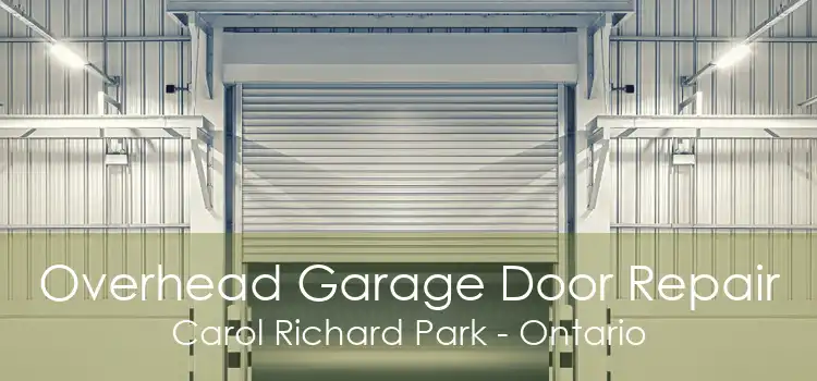 Overhead Garage Door Repair Carol Richard Park - Ontario