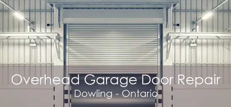 Overhead Garage Door Repair Dowling - Ontario