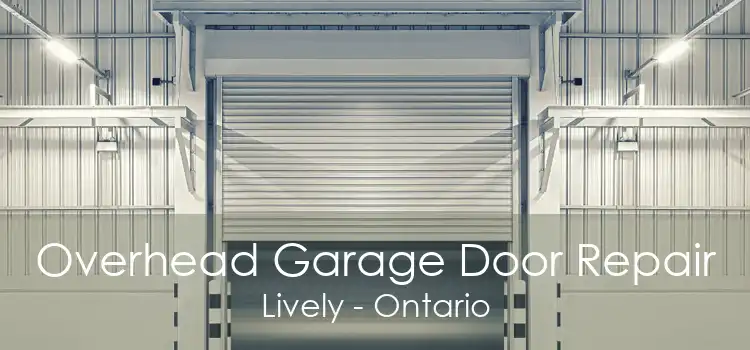 Overhead Garage Door Repair Lively - Ontario