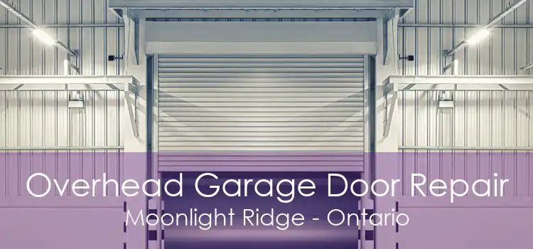 Overhead Garage Door Repair Moonlight Ridge - Ontario