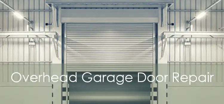 Overhead Garage Door Repair 