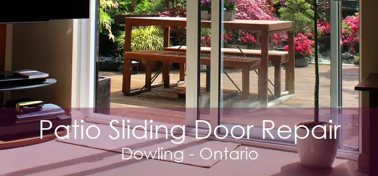 Patio Sliding Door Repair Dowling - Ontario