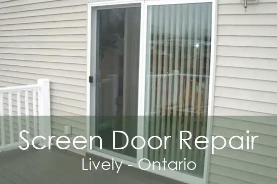 Screen Door Repair Lively - Ontario