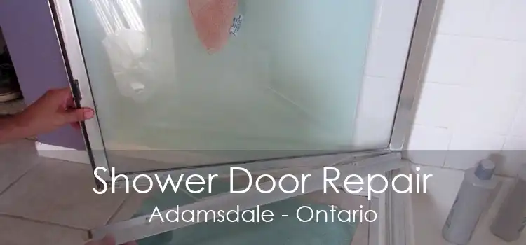 Shower Door Repair Adamsdale - Ontario