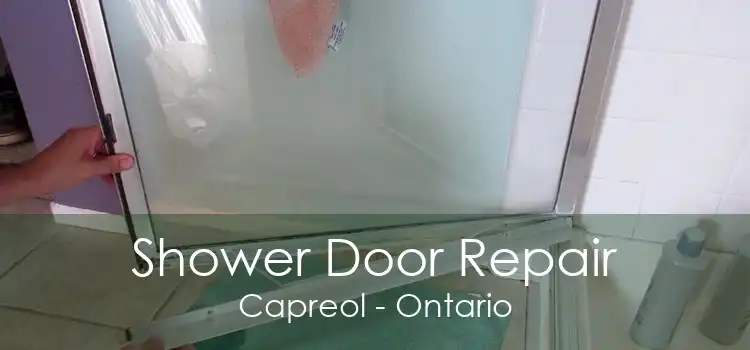 Shower Door Repair Capreol - Ontario